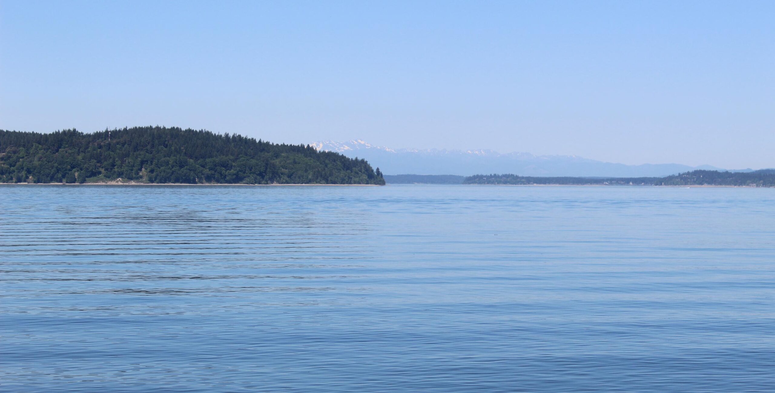 shoreline puget sound bainbridge island